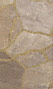 Desert Rose
