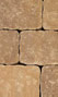 Gascony Tan
