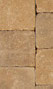 Gascony Tan