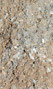 Sandstone