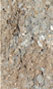 Sandstone