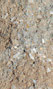 Sandstone