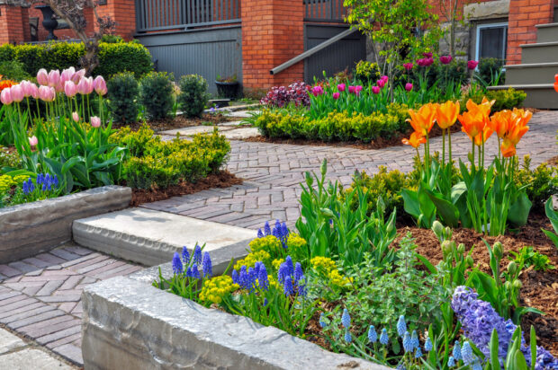 How to Combine Landscaping and Hardscaping for Maximum Impact